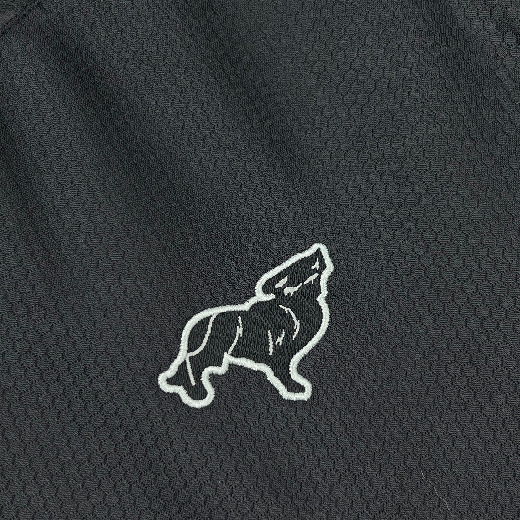 Camiseta Paysandu 2025 Terceiro - (Feminina)