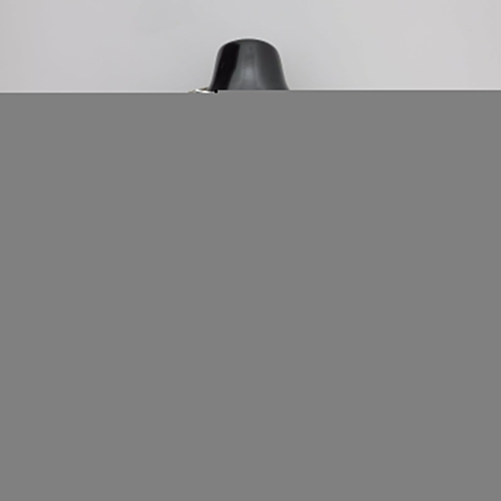 Camiseta NBA Brooklyn Nets #30 Curry - 75º Cumpleaños Black