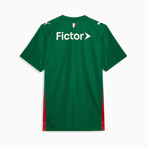 Camiseta Palmeiras 2026 Casa - (Aficionado)