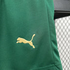 Kit Infantil Palmeiras 2024 Terceiro