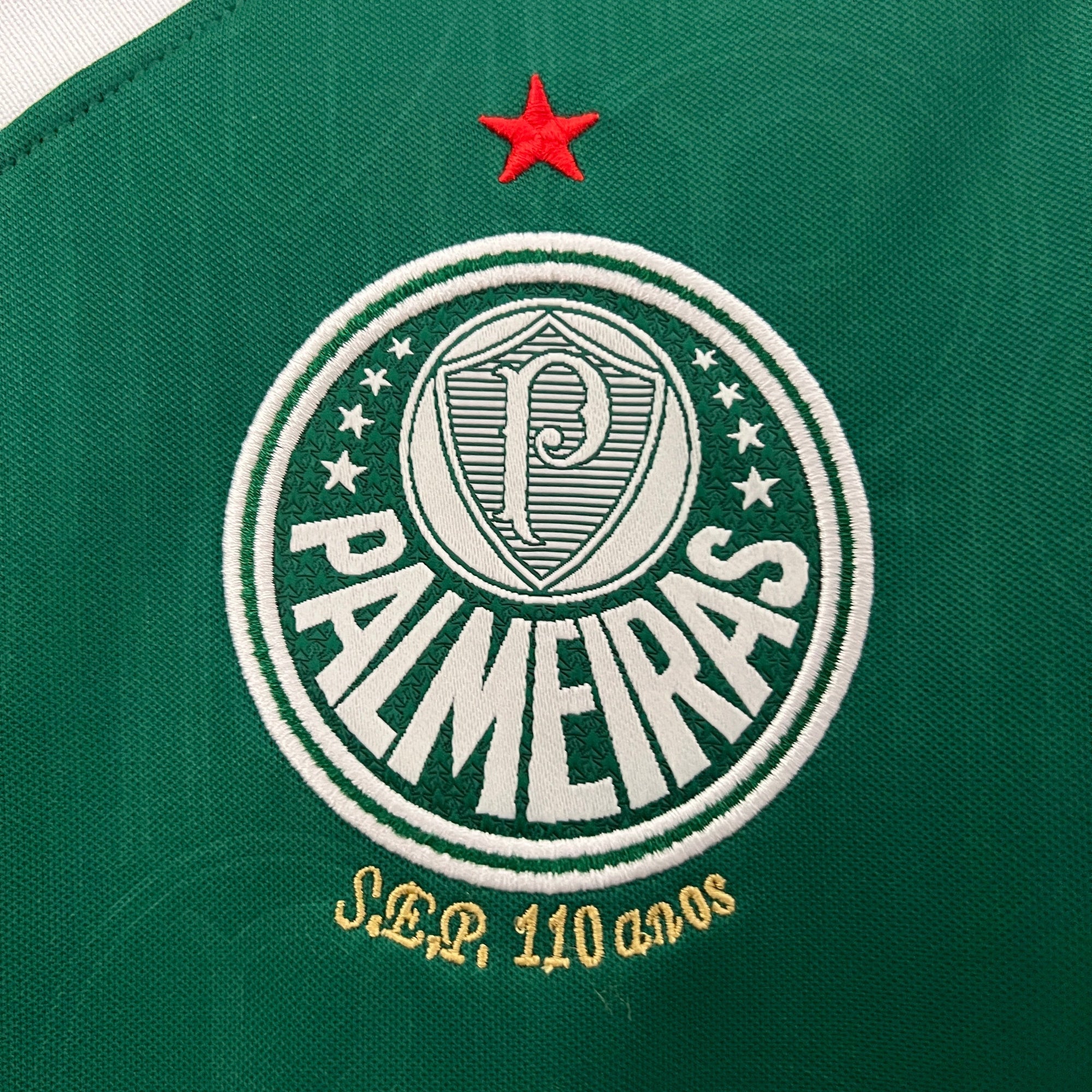 Camiseta Palmeiras 2024 Casa - (Feminina)