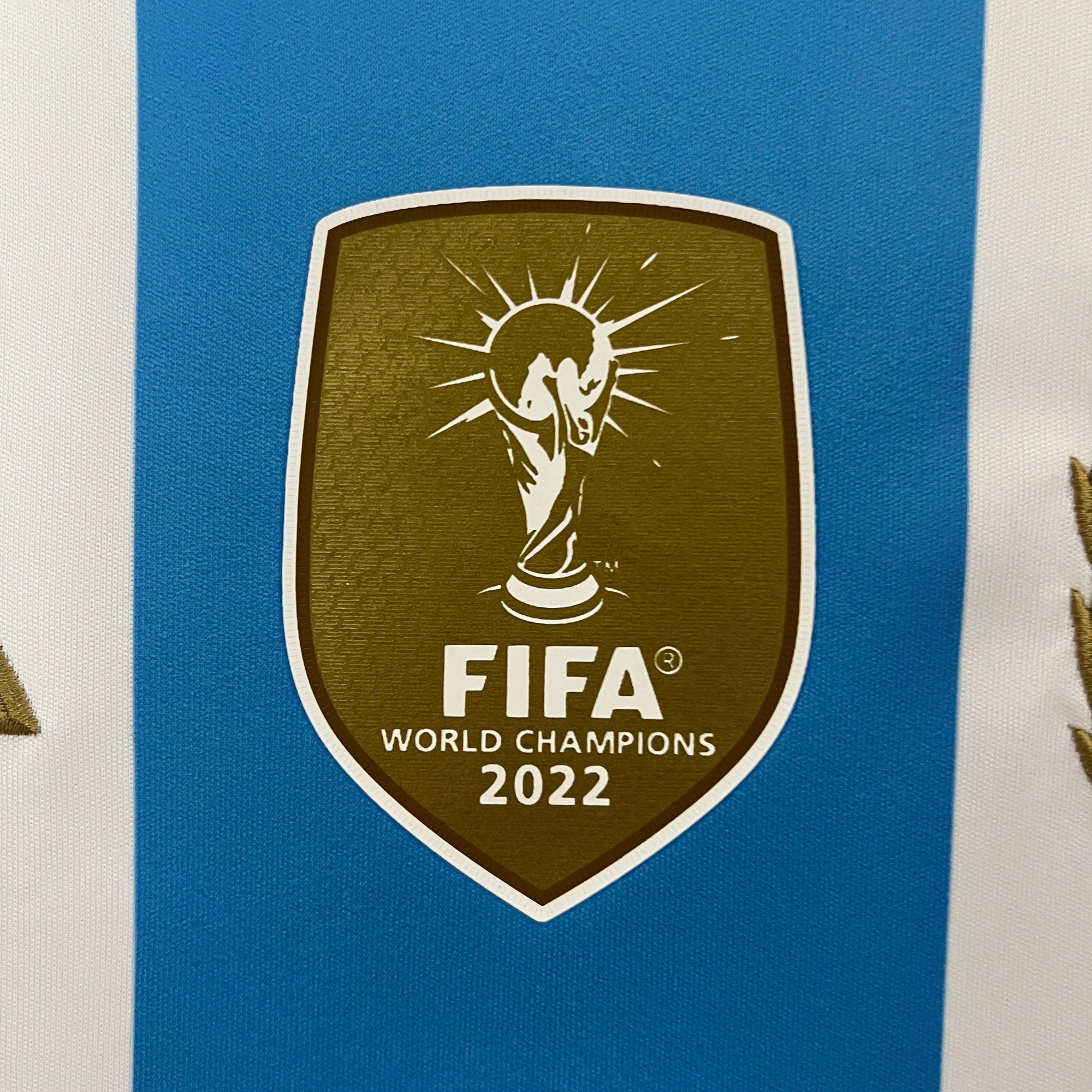 Camiseta Argentina 2024 Casa - (Aficionado)