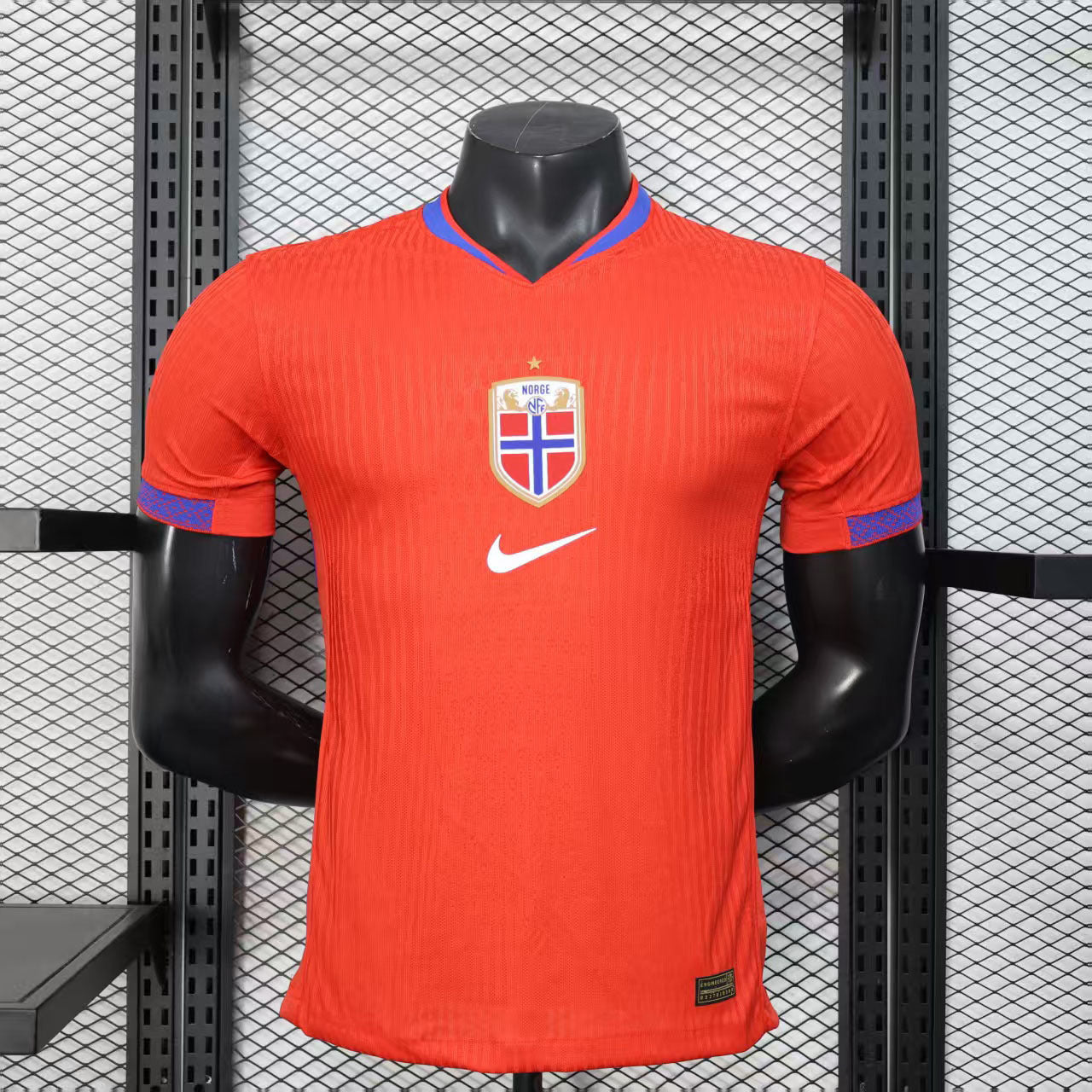 Camiseta Noruega Feminino 2025 Casa - (Jugador)