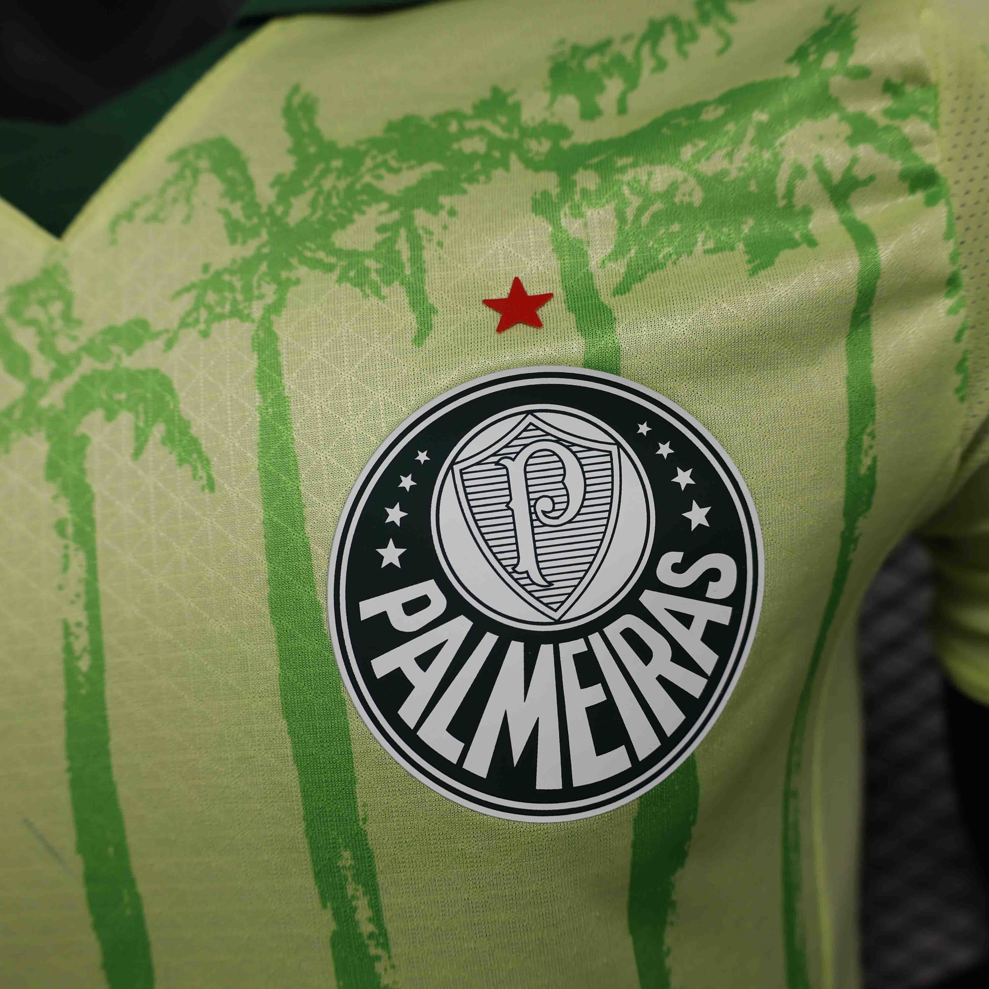 Camiseta Palmeiras 2025 Edición Conceito Fora - (Jugador)