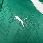 Camiseta Palmeiras 2025 Casa - (Feminina)