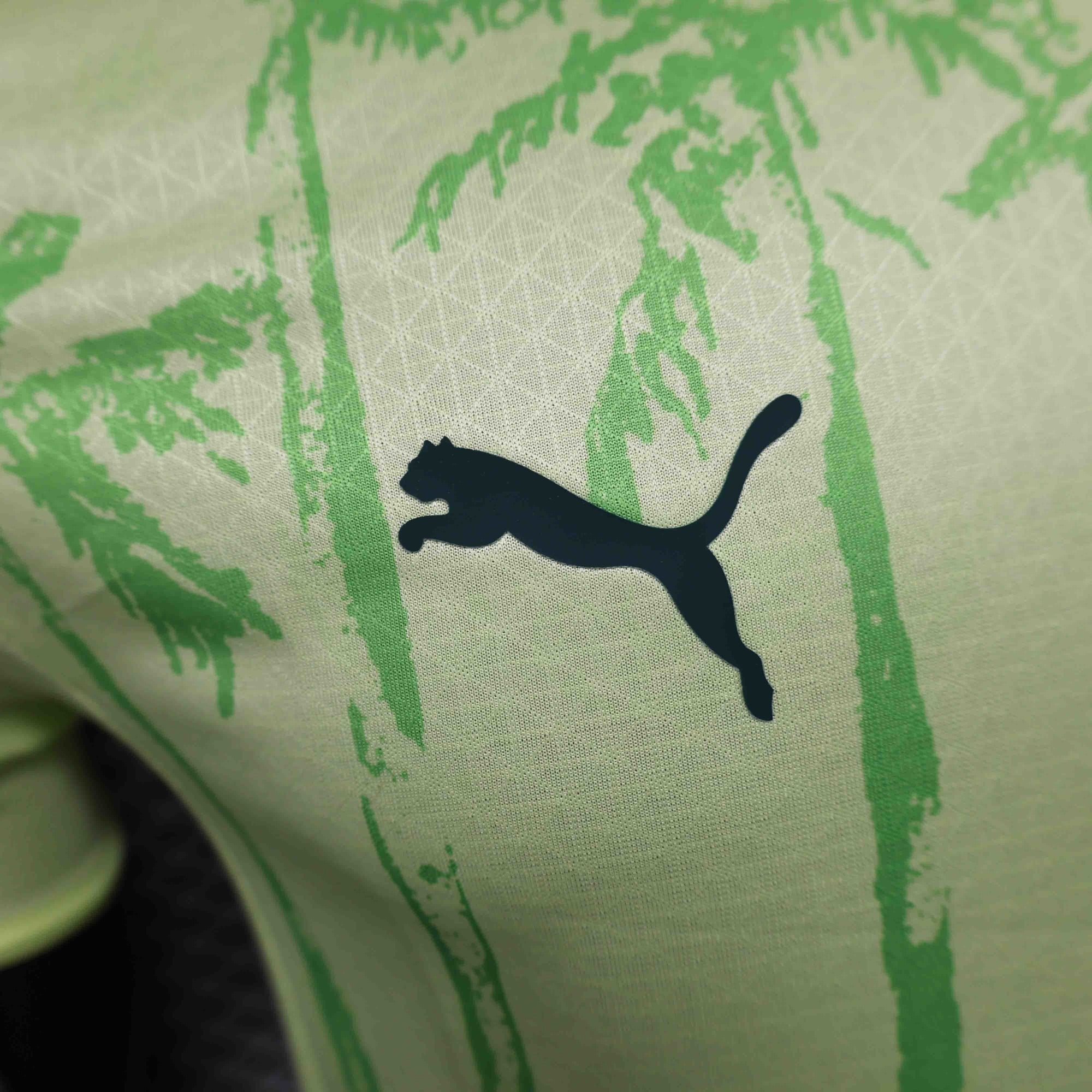 Camiseta Palmeiras 2025 Edición Conceito Fora - (Jugador)