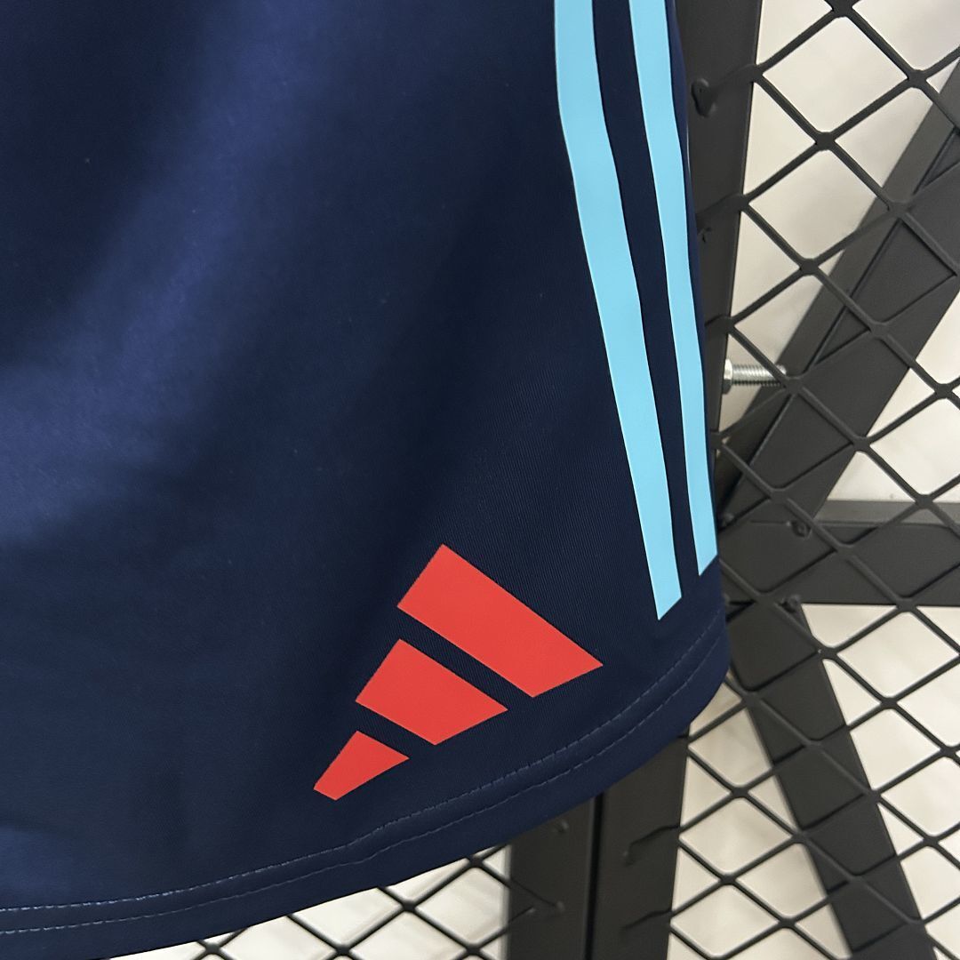 Shorts Flamengo 2025 Treino - (Aficionado)