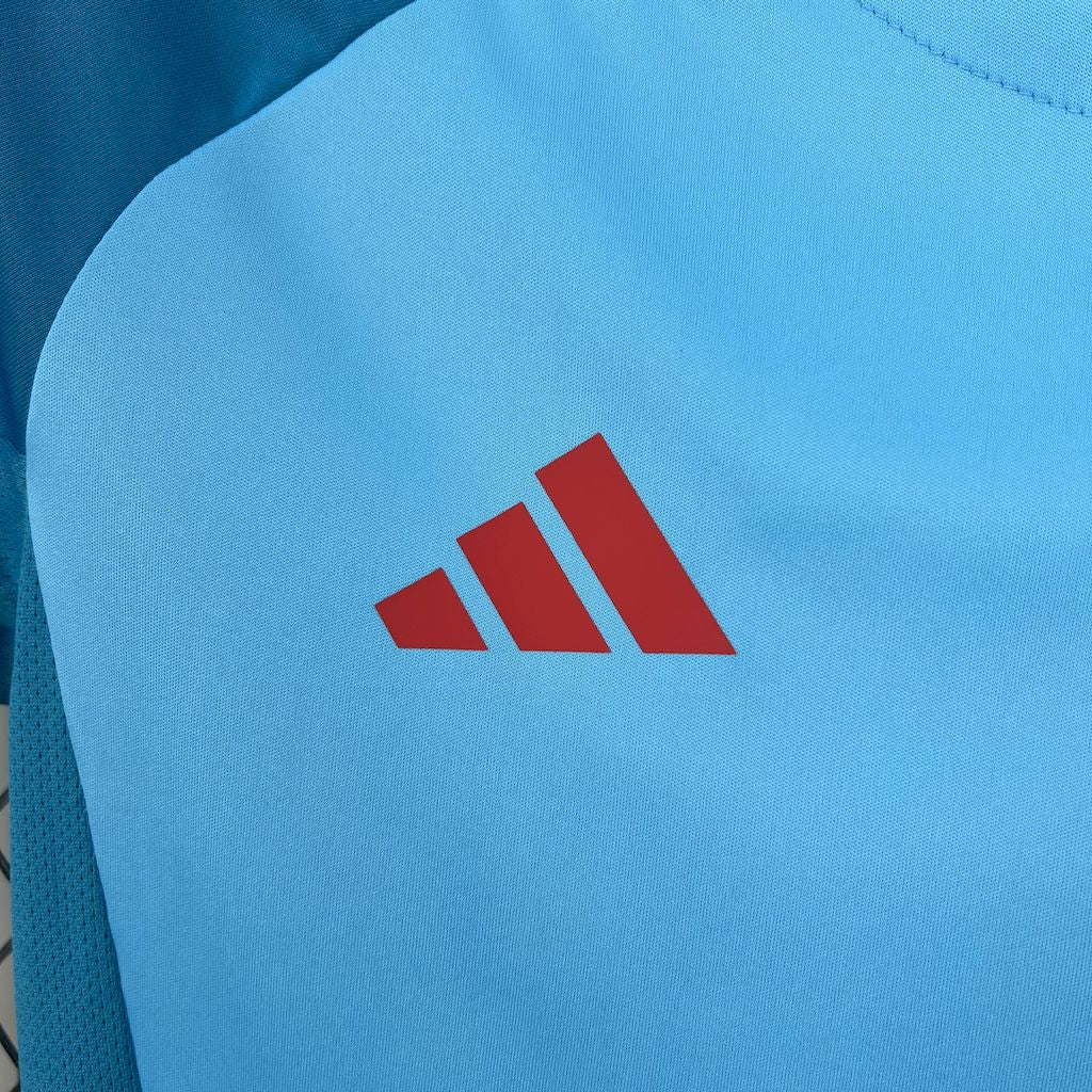 Camiseta Flamengo 2025 Treino Casa - (Feminina)